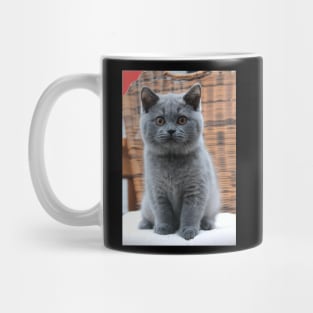 the blue chubby cute cats Mug